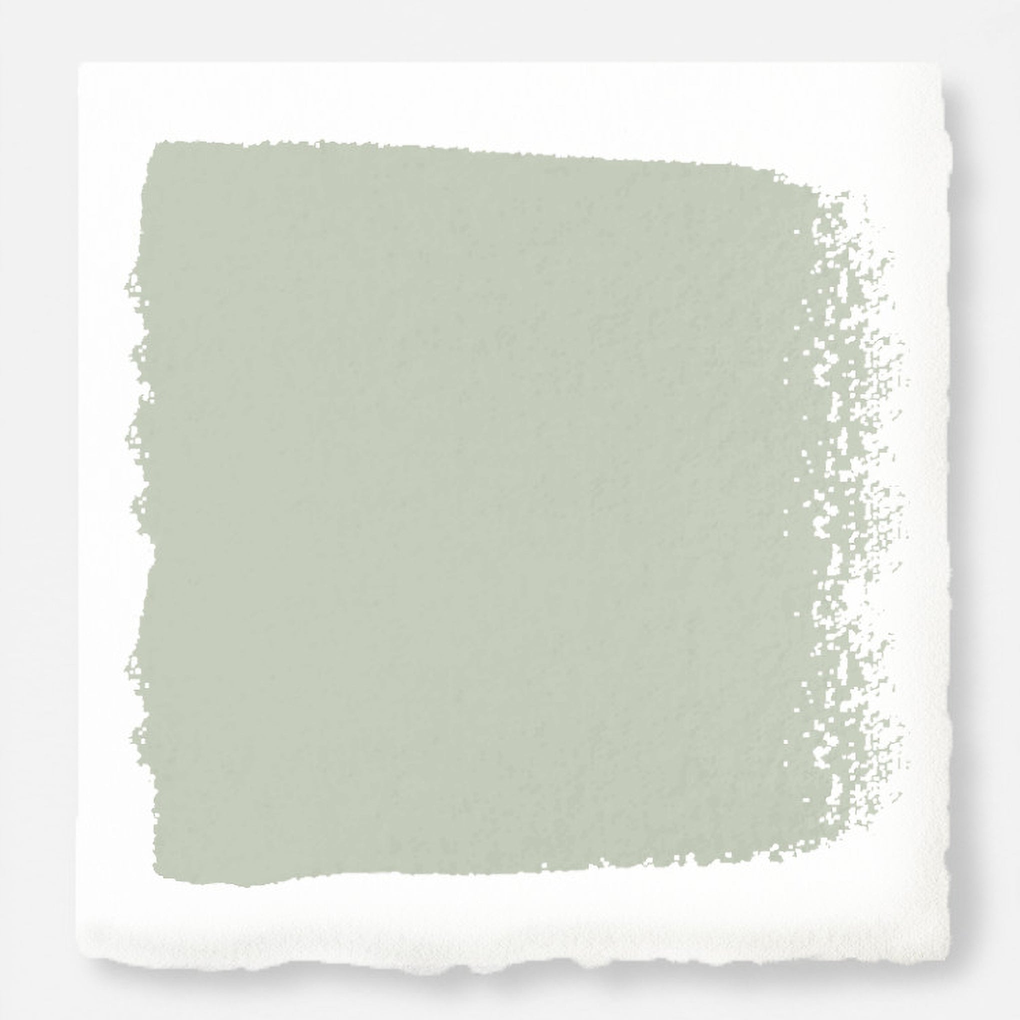 Earl Gray -  Classic Interior Paint
