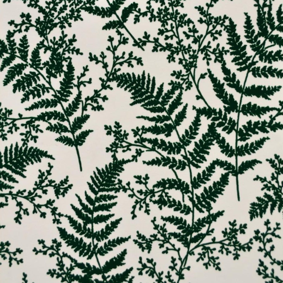 Forest Fern Wallpaper