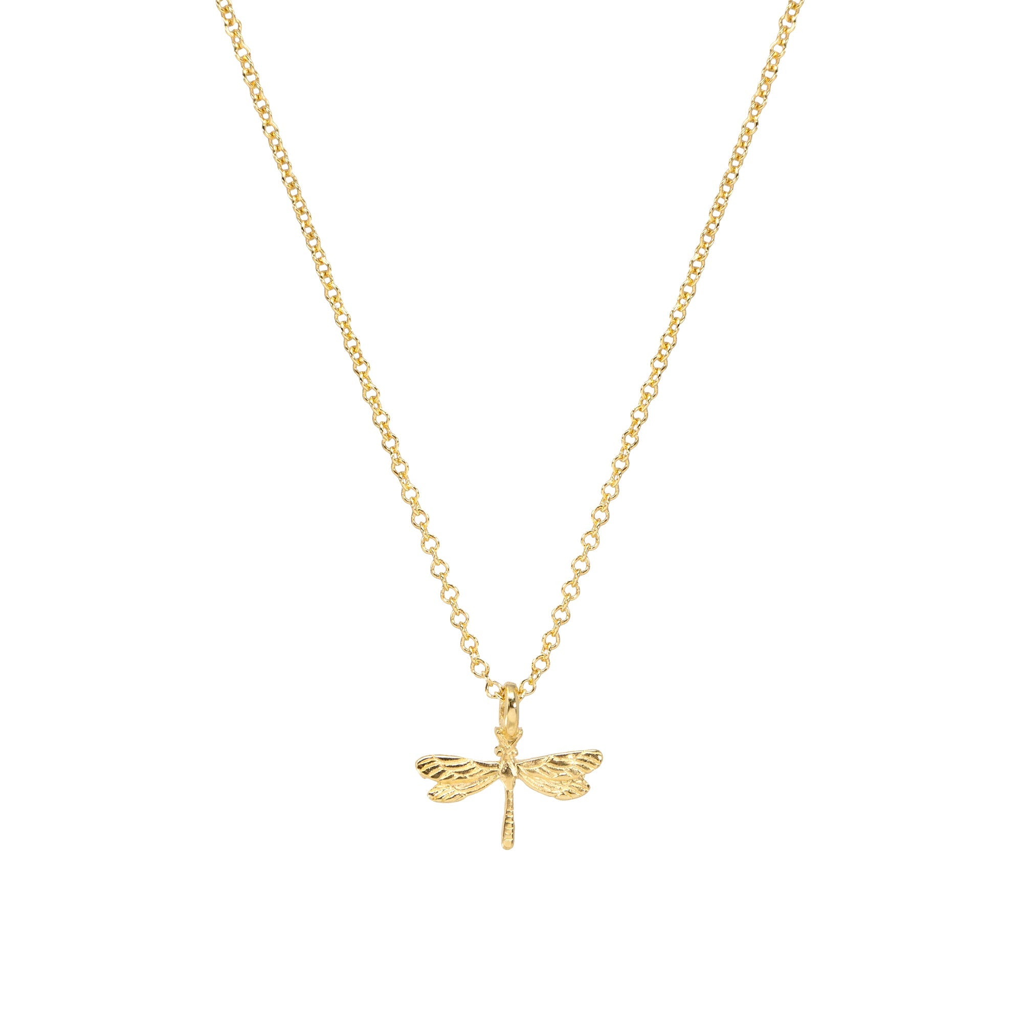 Modern You Make the World A Better Place Dragonfly Pendant Necklace
