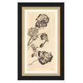 Vintage Peony I