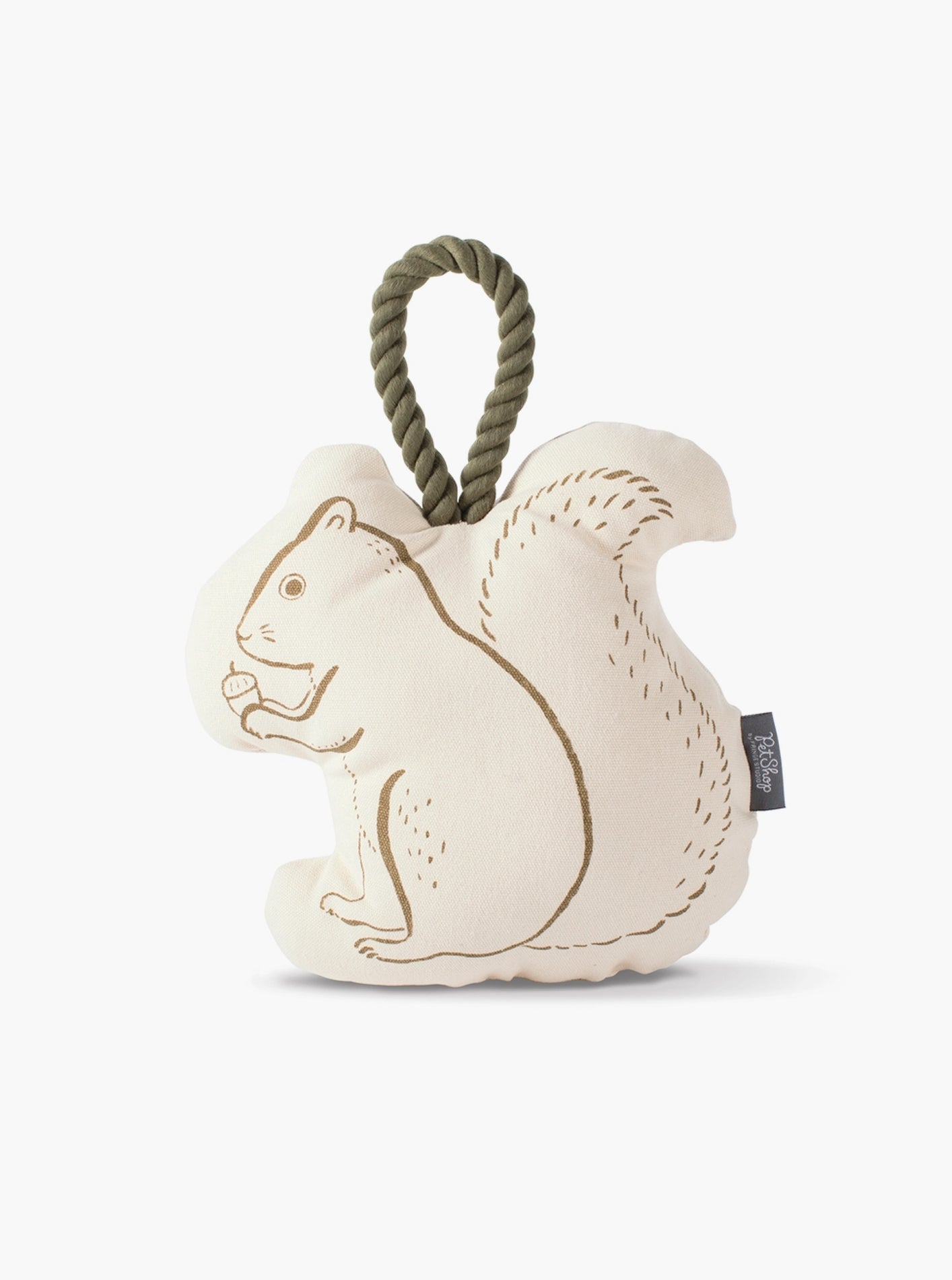 MISTER SQUIRREL