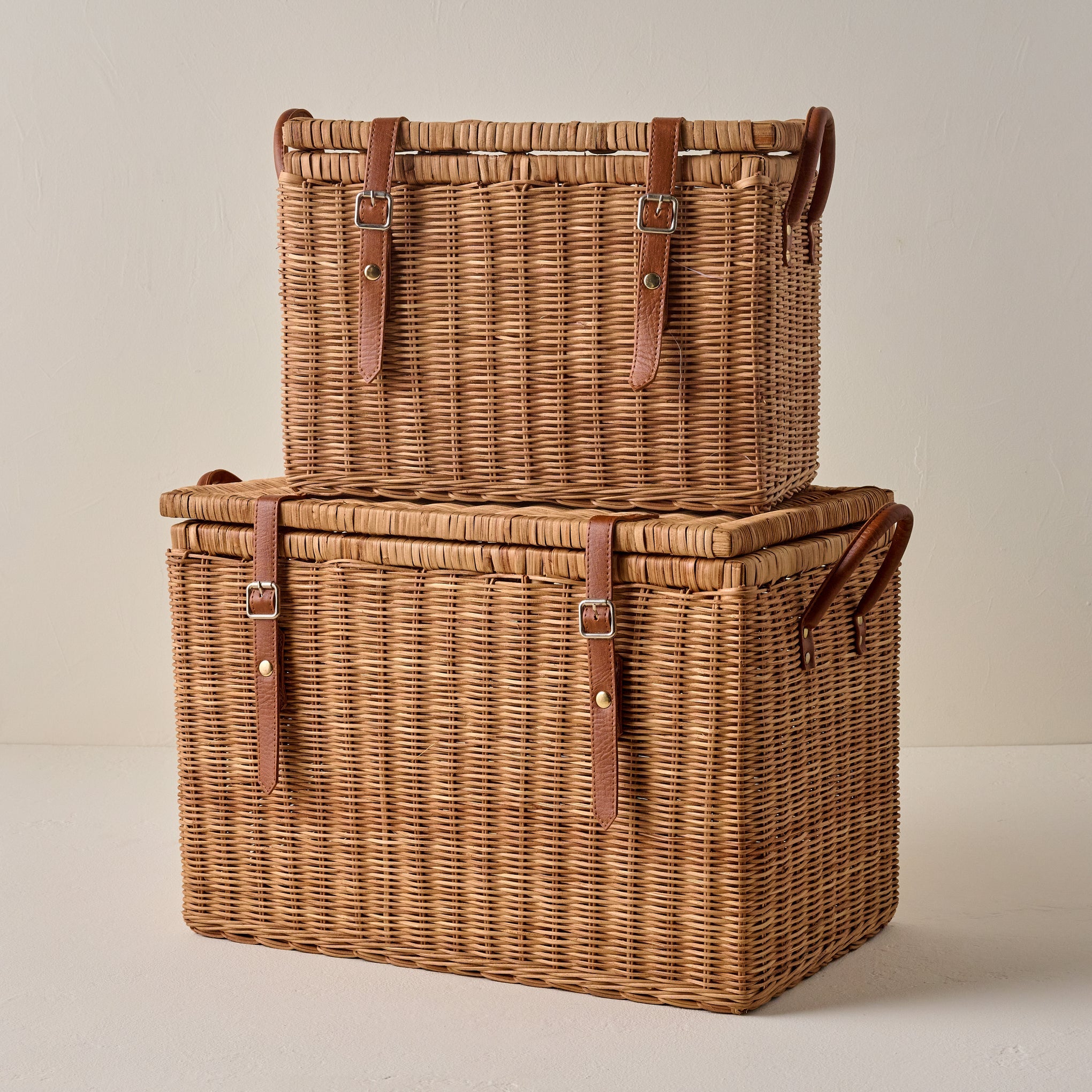 Reid Woven Storage Trunk with Leather Handles
