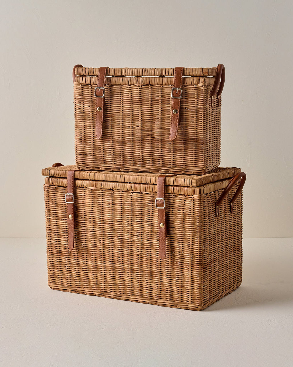 Reid Woven Storage Trunk with Leather Handles