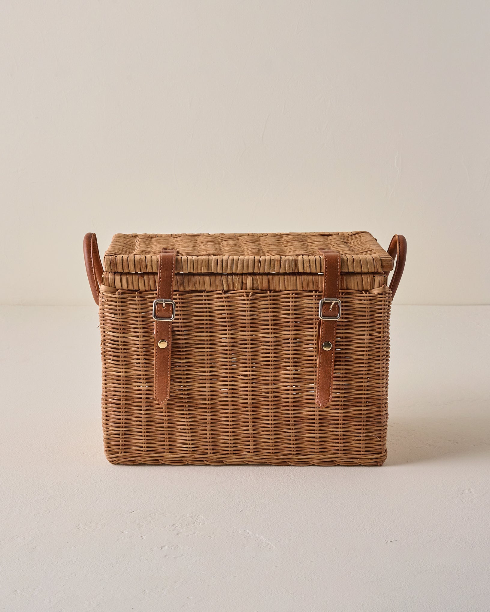 Reid Woven Storage Trunk with Leather Handles