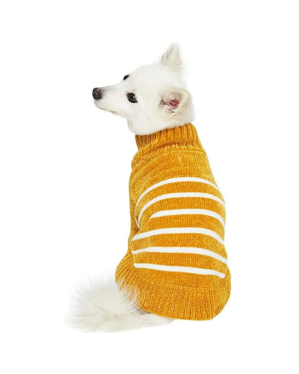STRIPED SWEATER by Blueberry Pet