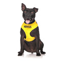 Nervous Dog Lead and Vest Harness