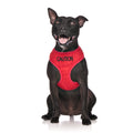 Caution Dog Lead and Vest Harness