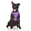 Do Not Feed Vest Harness