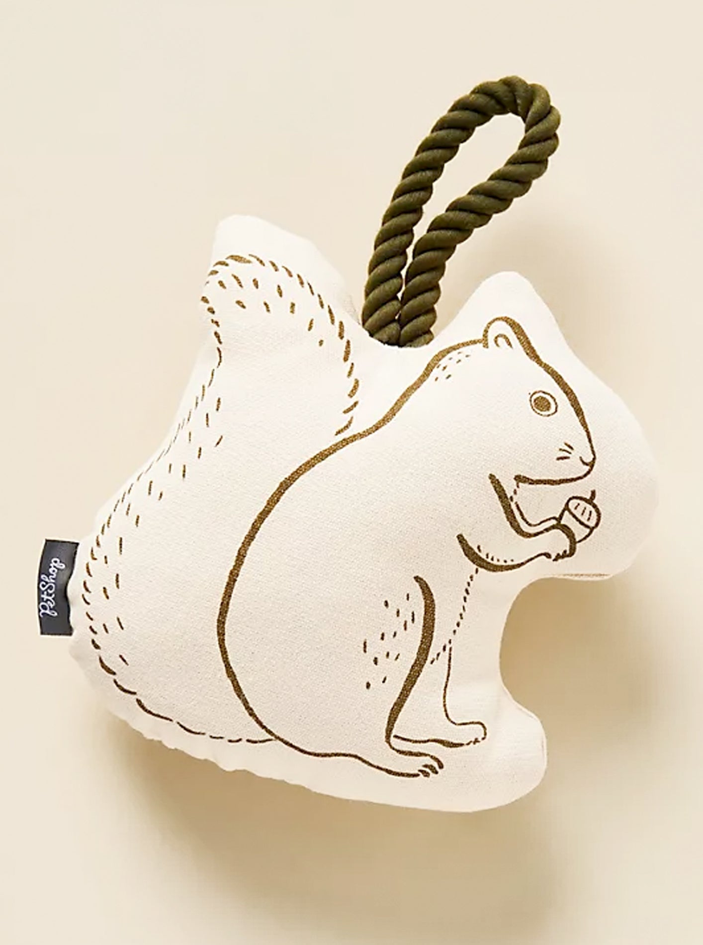 MISTER SQUIRREL