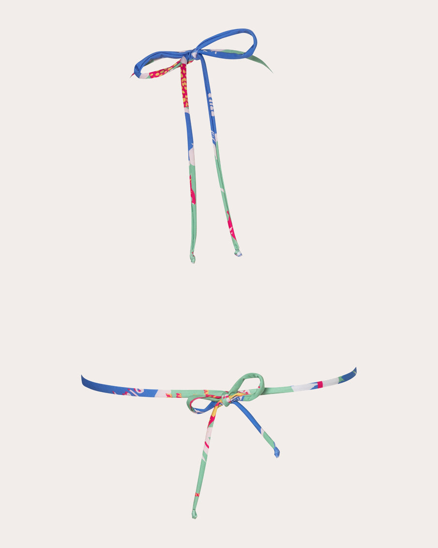 Moa Careyes Printed Triangle Bikini Top