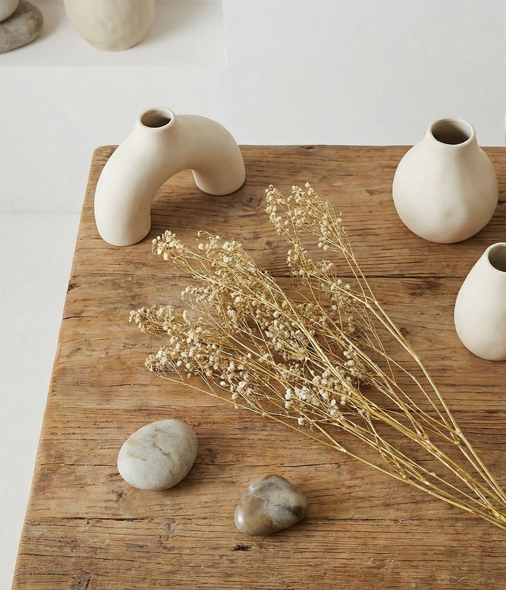 Dried White Gypsophila