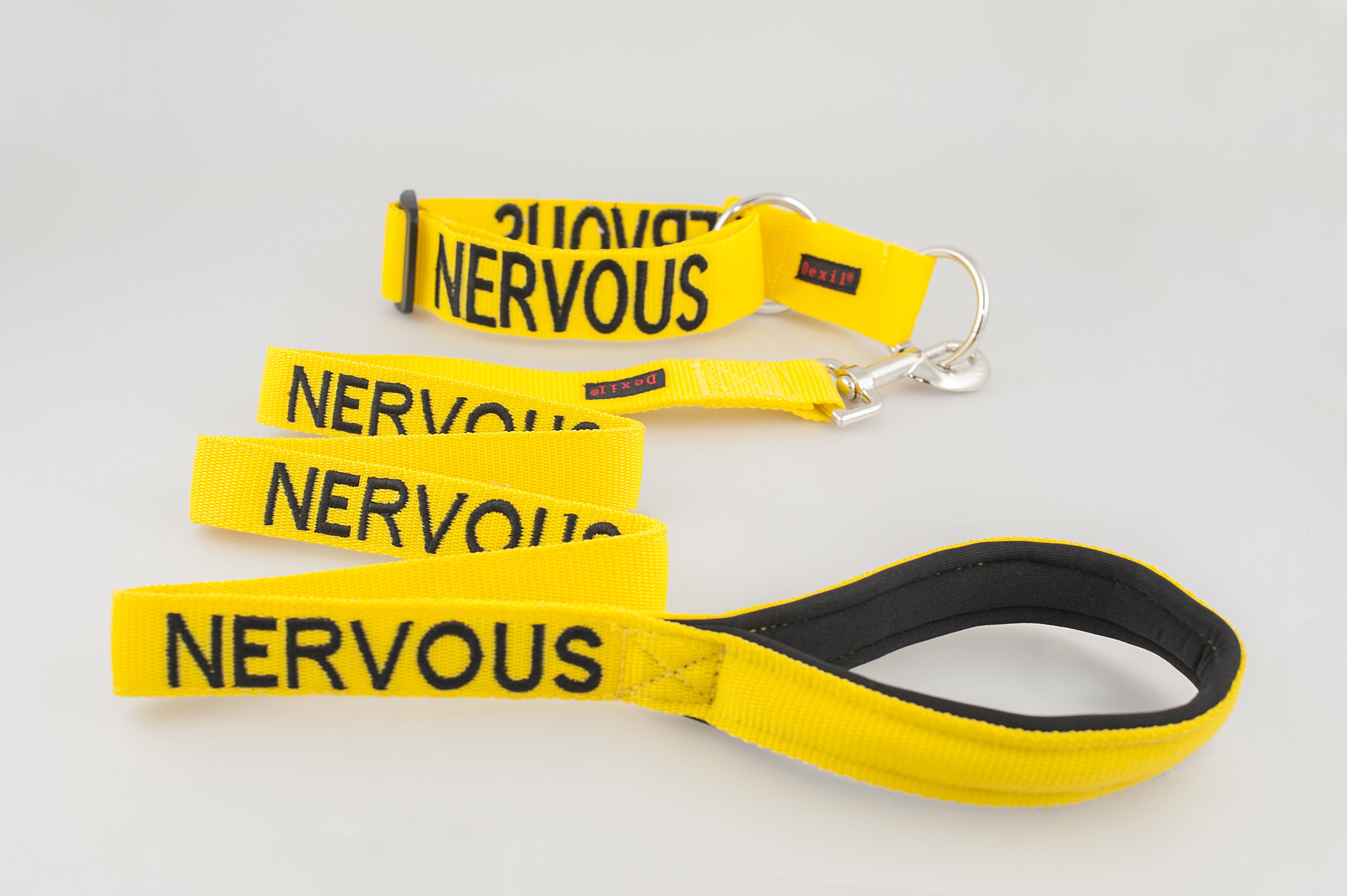 Nervous Dog Lead and Collar