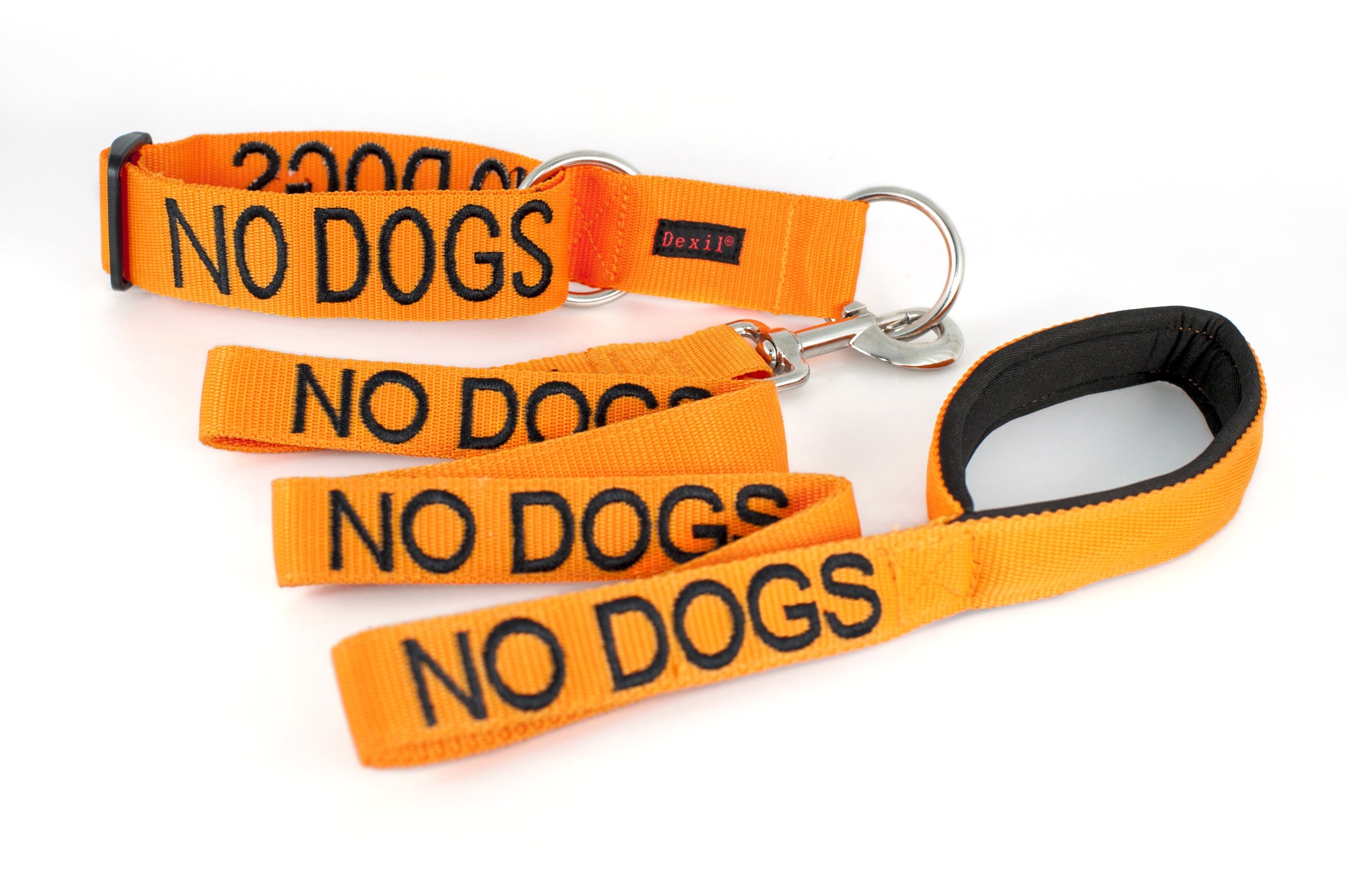 No Dogs Dog Lead and Collar