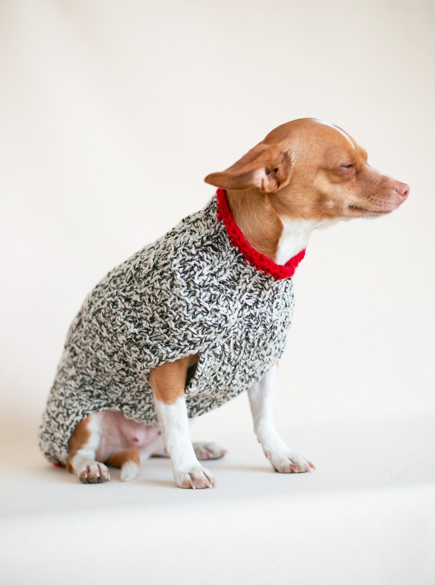 OATMEAL CABLE KNIT DOG SWEATER