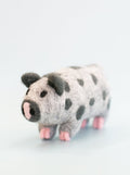 OCHO THE PIG from Aska's Animals