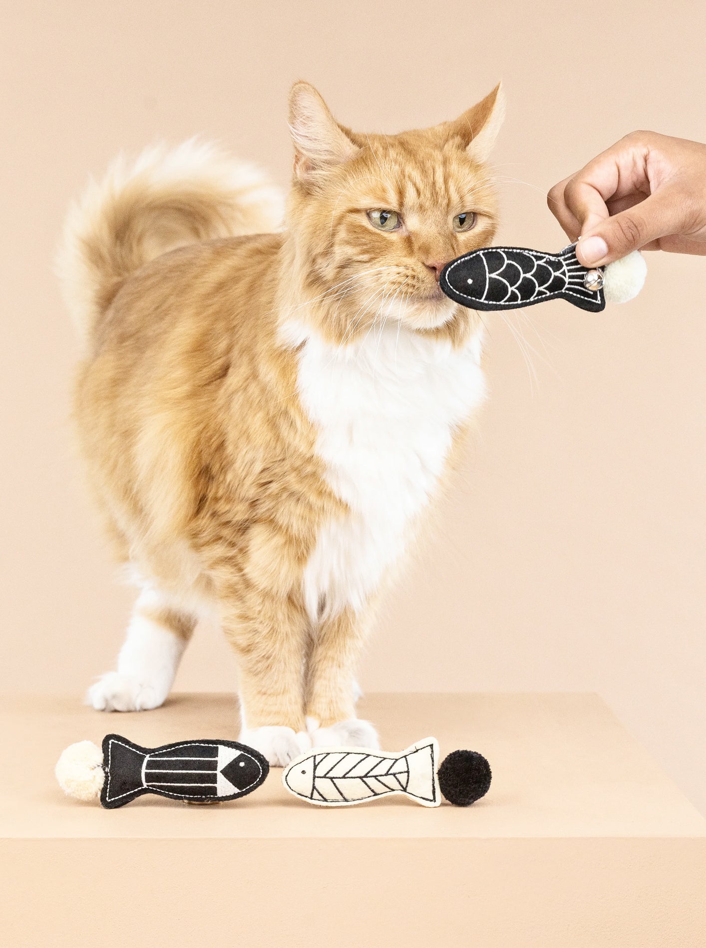 OFF THE SCALES MINI CAT TOY SET by Fringe Studio
