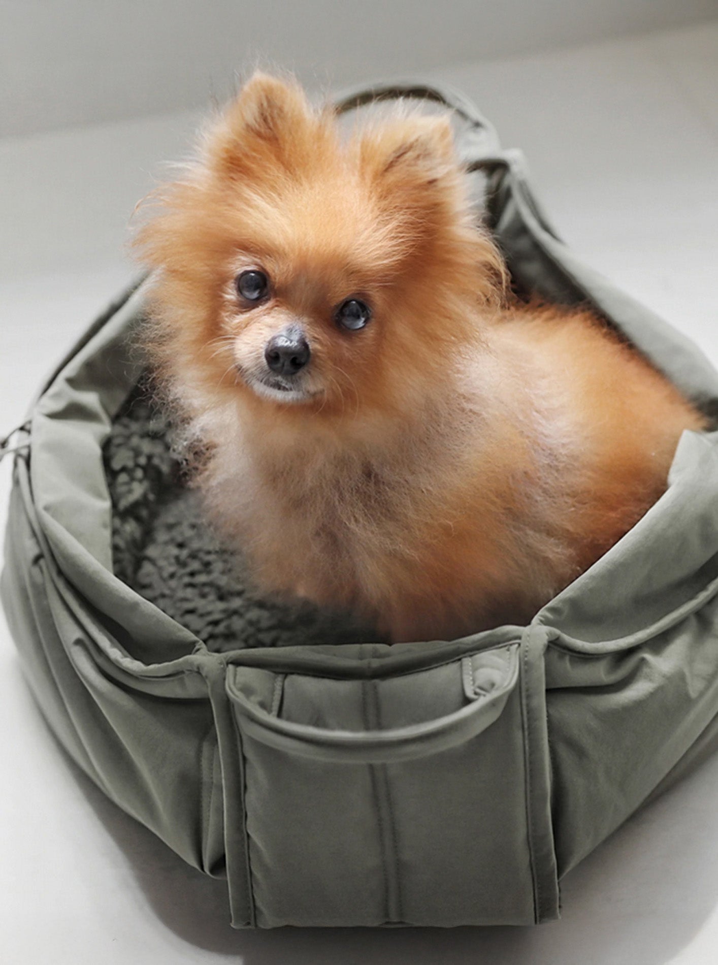 OLLA PETITE DOG CARRIER by Lambwolf Collective