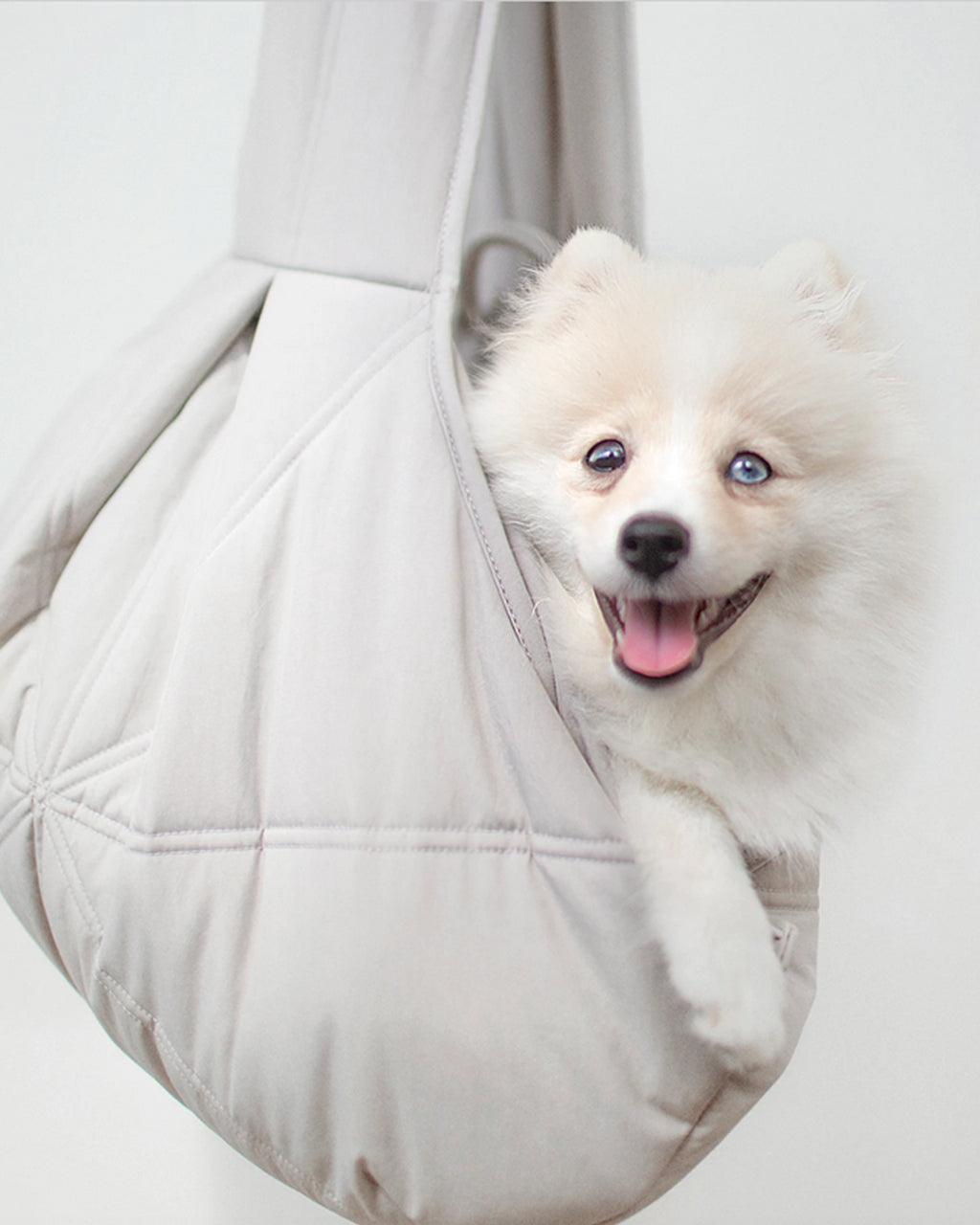 OLLA PETITE DOG CARRIER by Lambwolf Collective