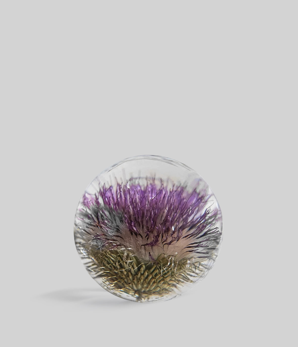 Open Thistle Botanical Resin Paperweight