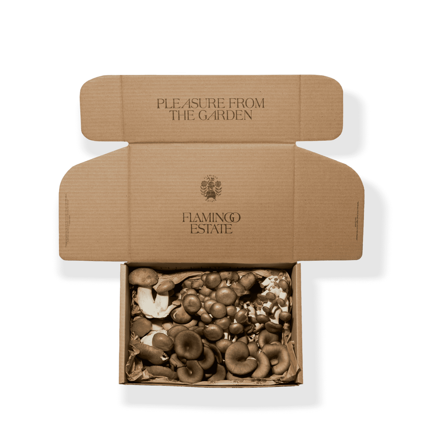 Organic Artisanal Mushroom Box