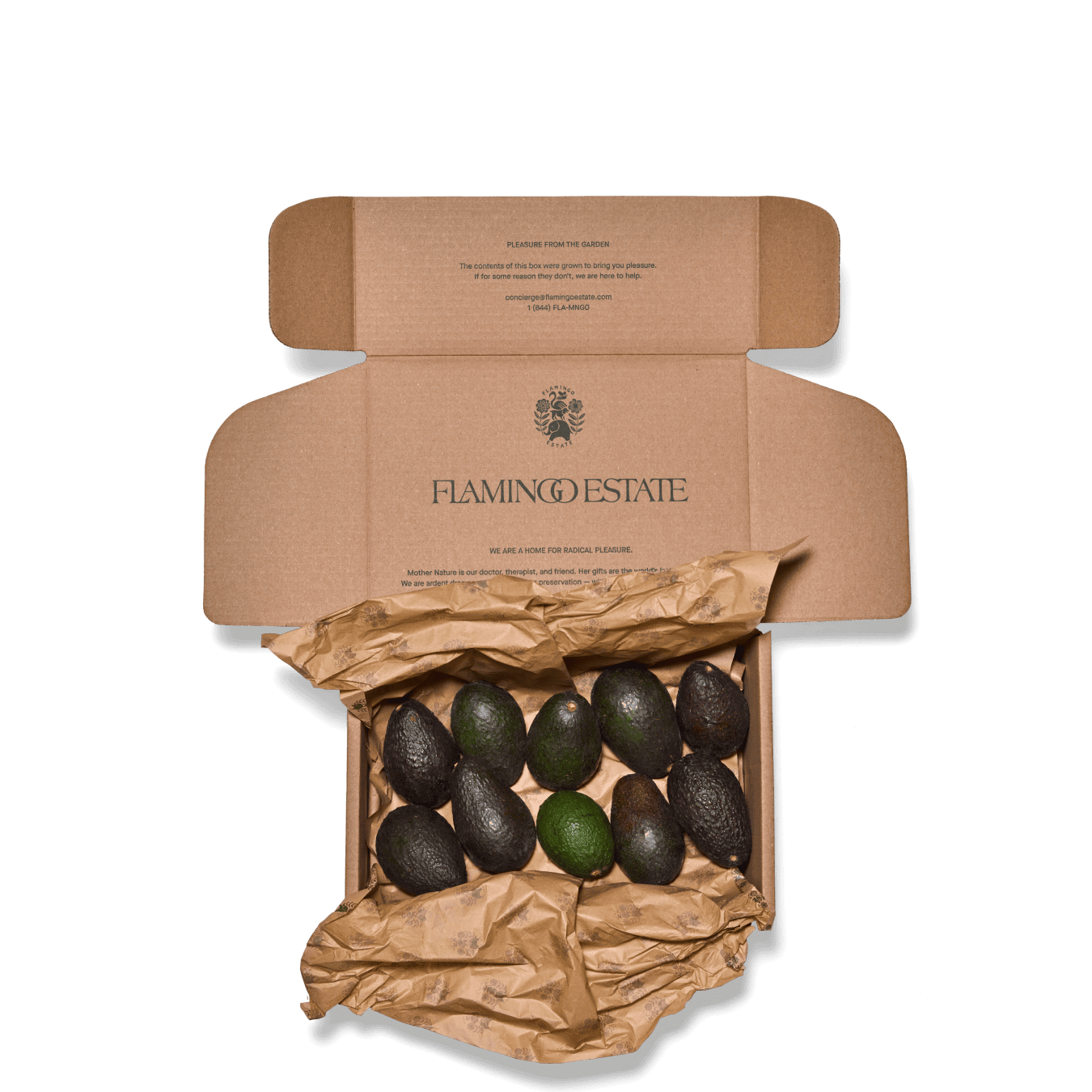 Organic Avocado Box