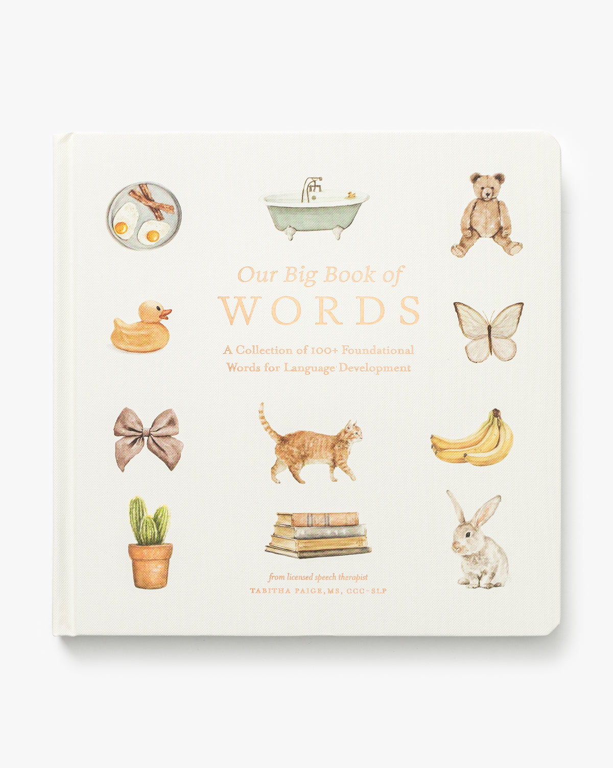 Our Big Book of First Words