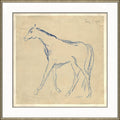 Horse Sketch