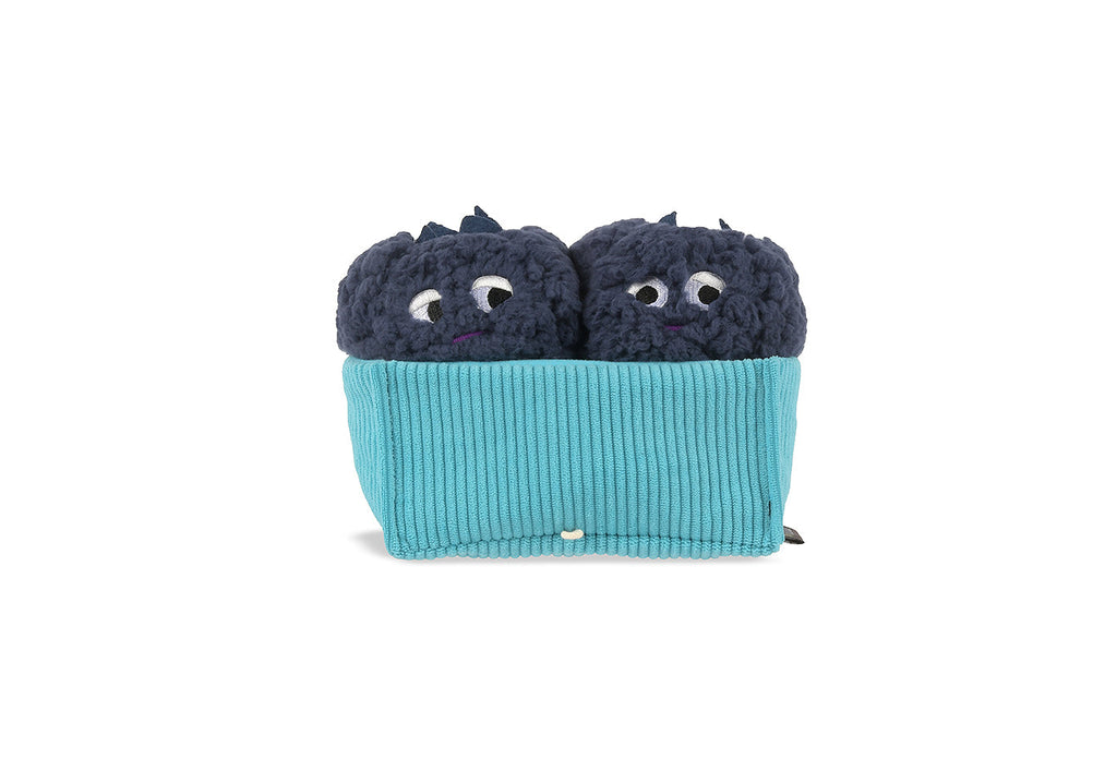 Picked Fresh Blue Beg-rries