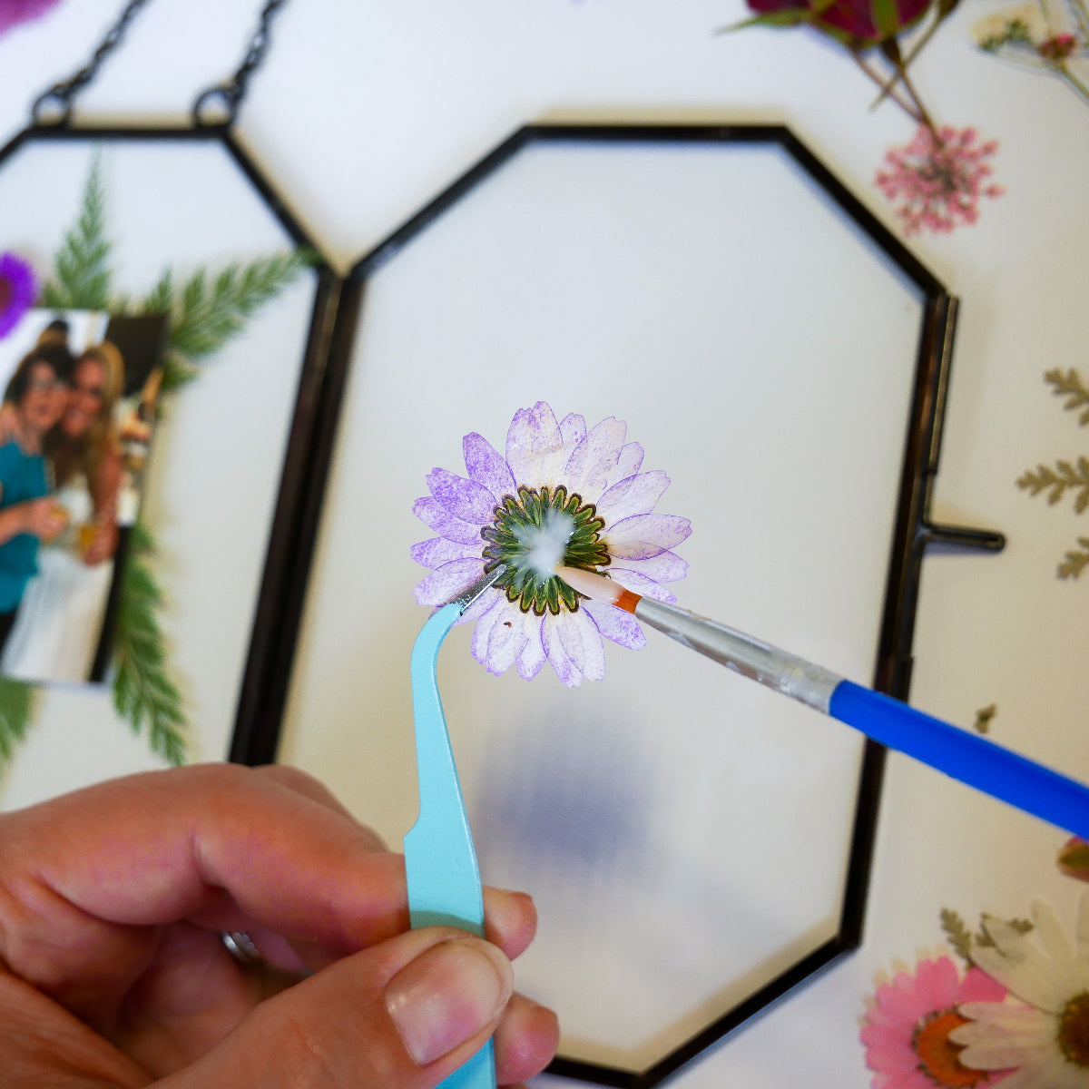 Framed Pressed Flowers Family-Style Craft Pack