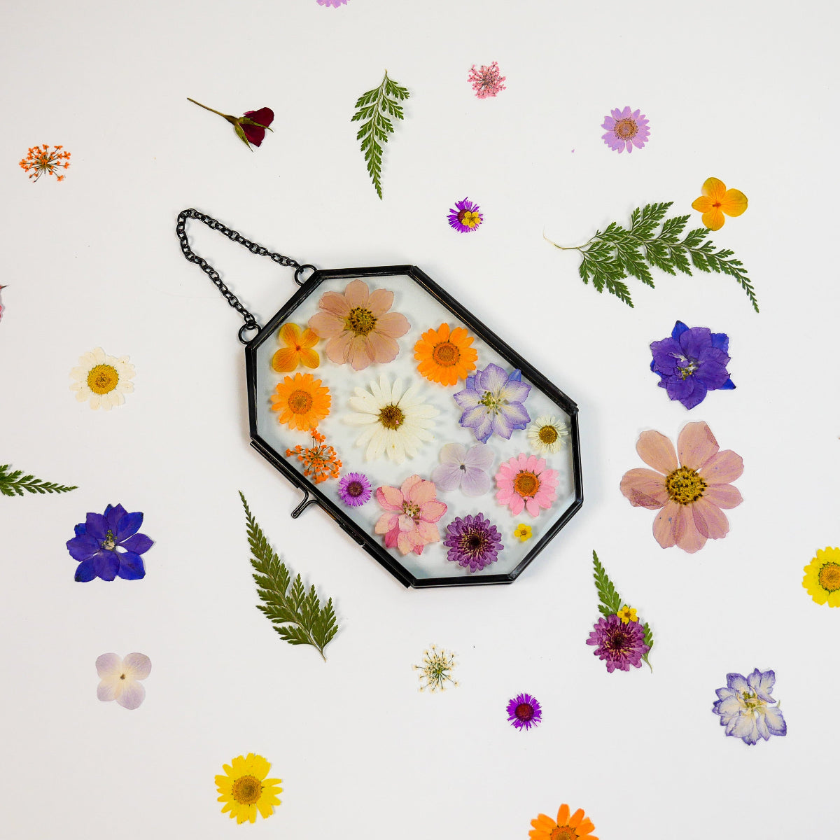 Framed Pressed Flowers Family-Style Craft Pack