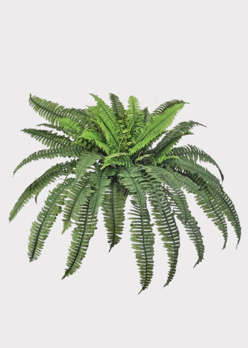 Large UV Resistant Outdoor Fake Boston Fern Plant - 38"