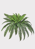 Large UV Resistant Outdoor Fake Boston Fern Plant - 38"