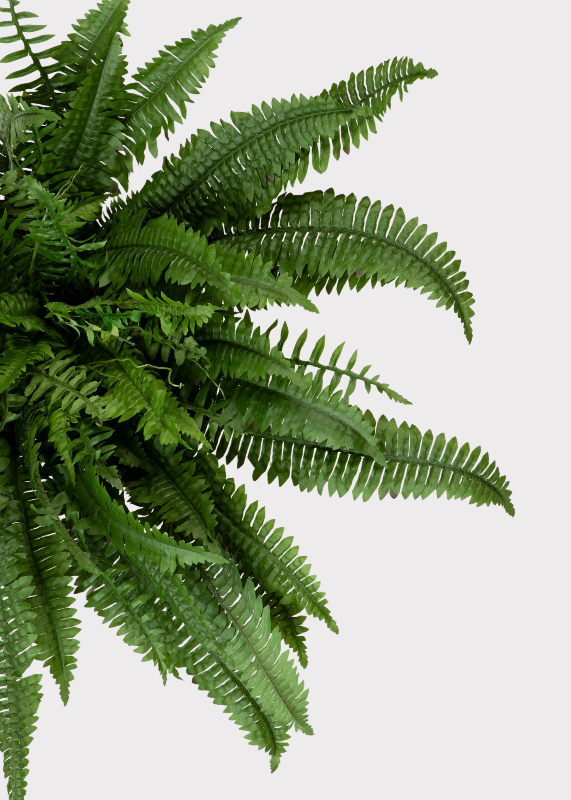 Large UV Resistant Outdoor Fake Boston Fern Plant - 38"