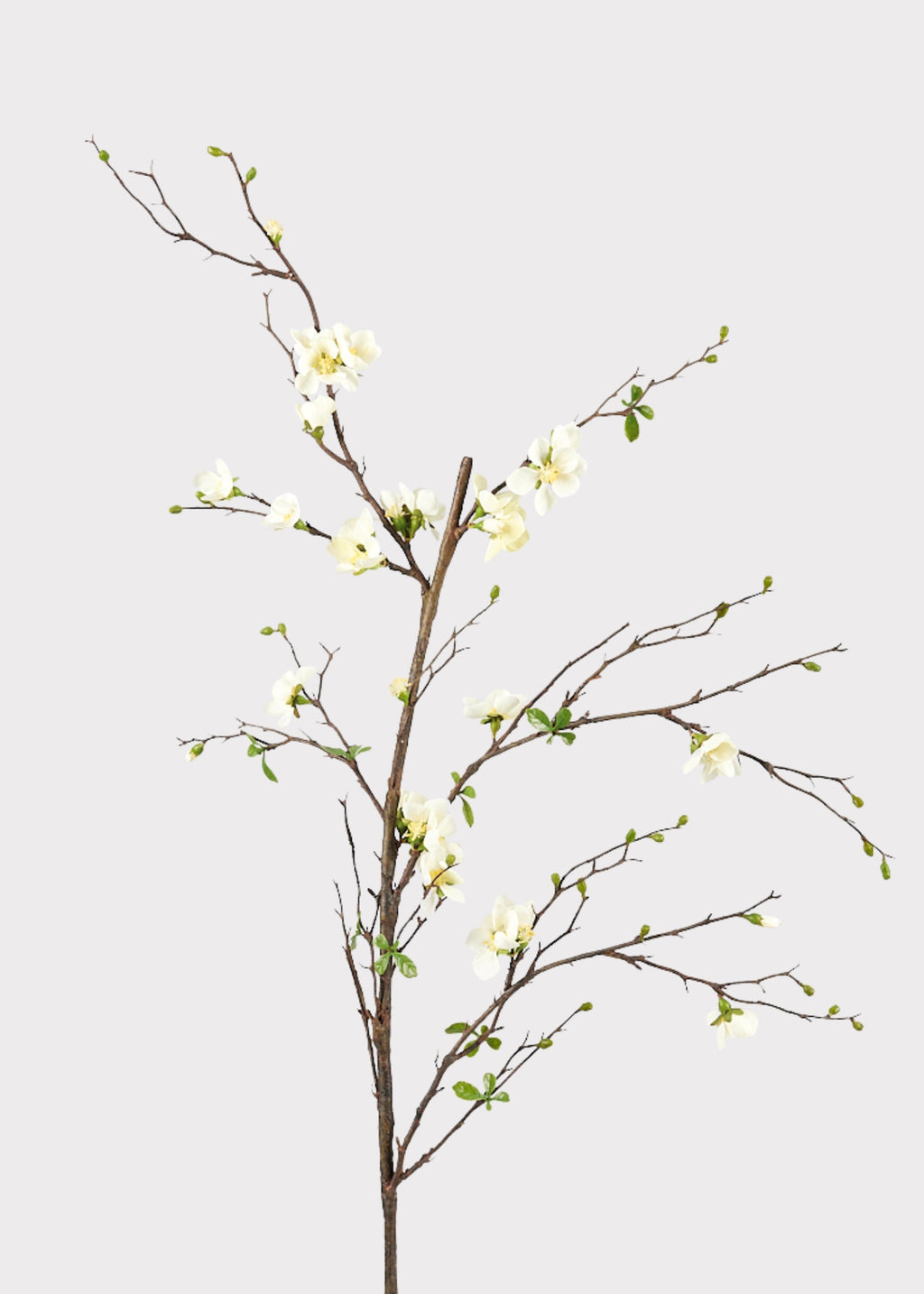 Premium Artificial Flowers  - Cream Artificial Blossom Branch - 57"