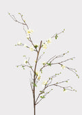 Premium Artificial Flowers  - Cream Artificial Blossom Branch - 57"