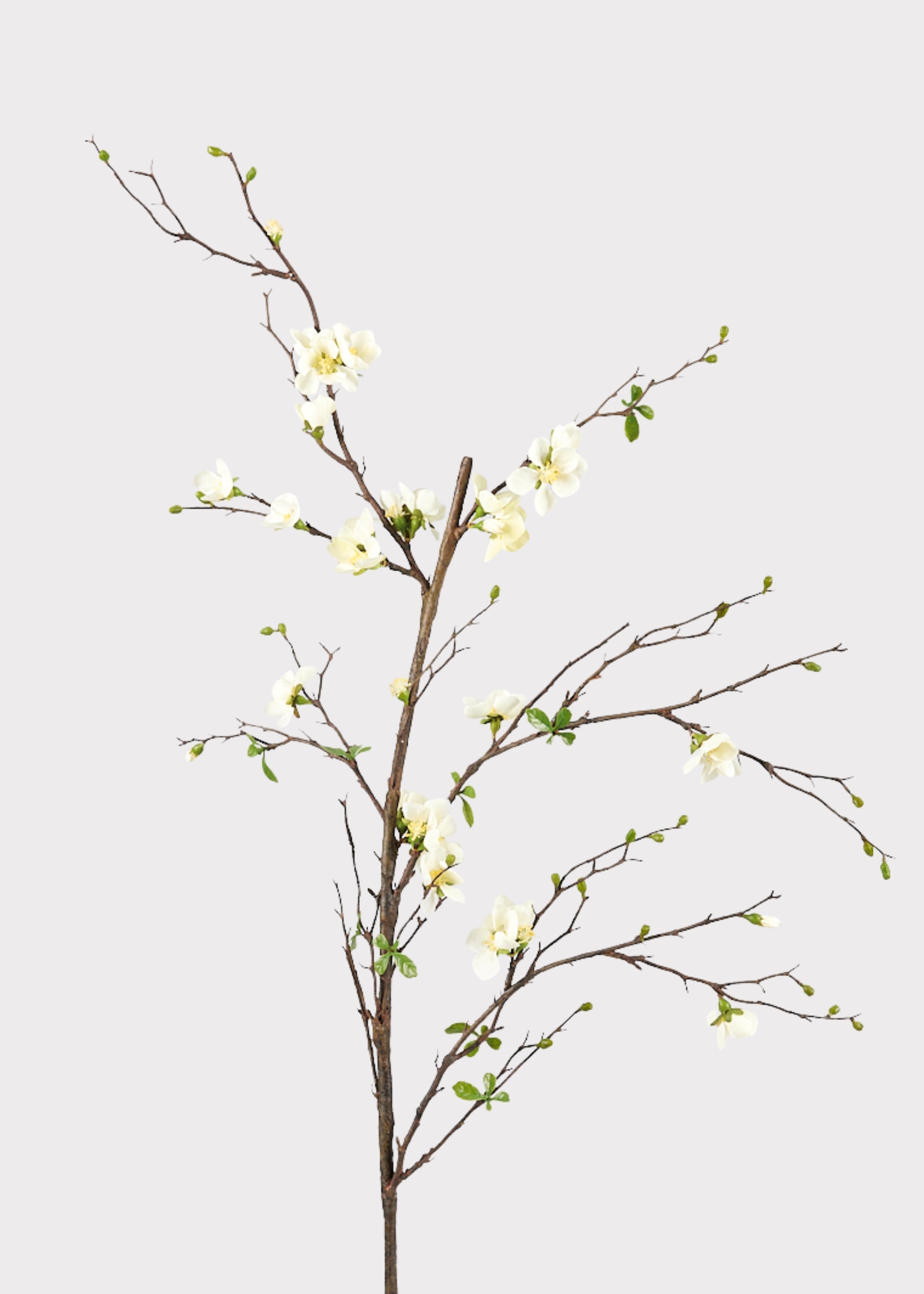 Premium Artificial Flowers  - Cream Artificial Blossom Branch - 57"