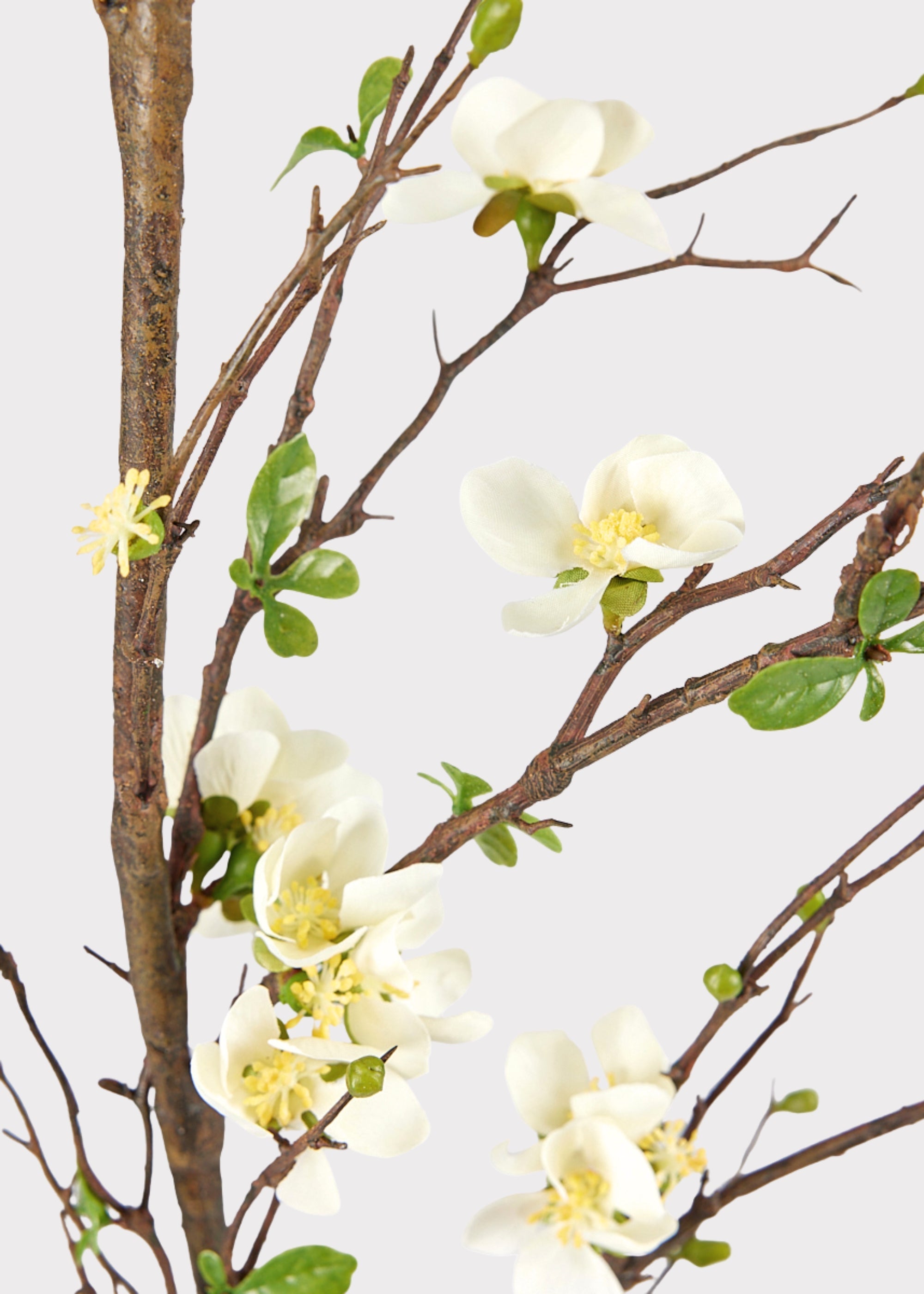 Premium Artificial Flowers  - Cream Artificial Blossom Branch - 57"