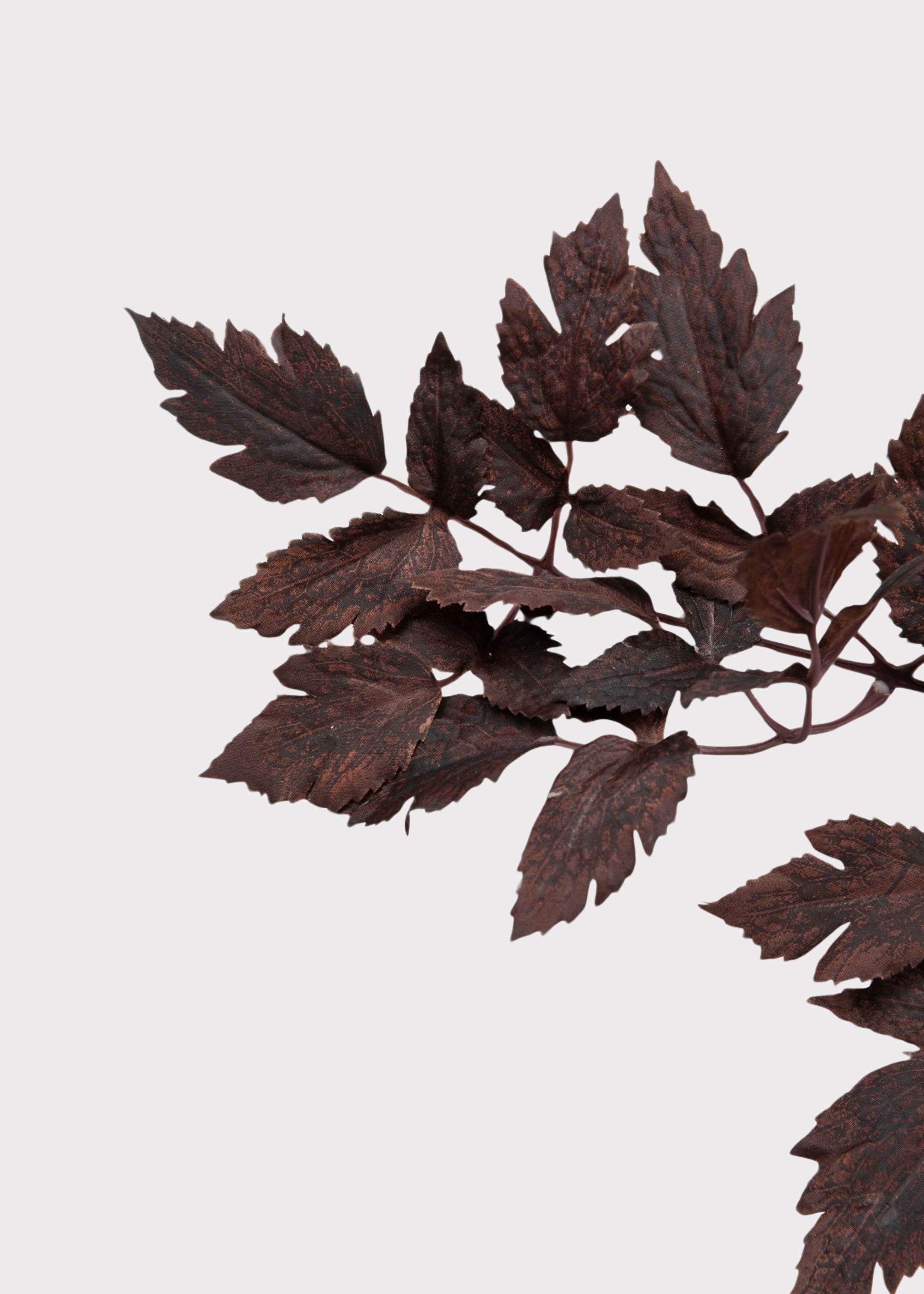 Plum Fake Cimicifuga Ramosa Leaves - 31"