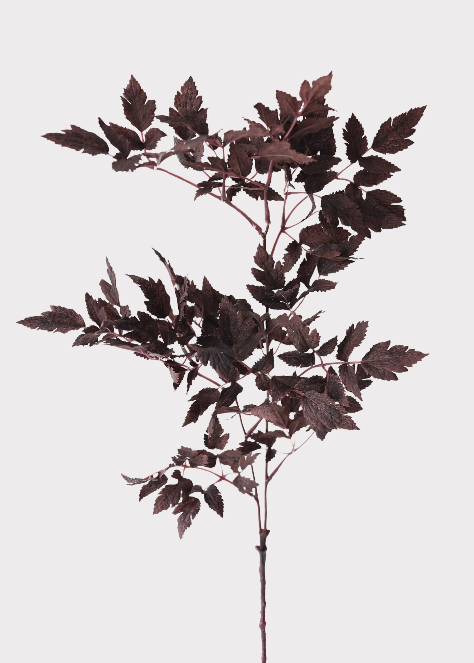 Plum Fake Cimicifuga Ramosa Leaves - 31"