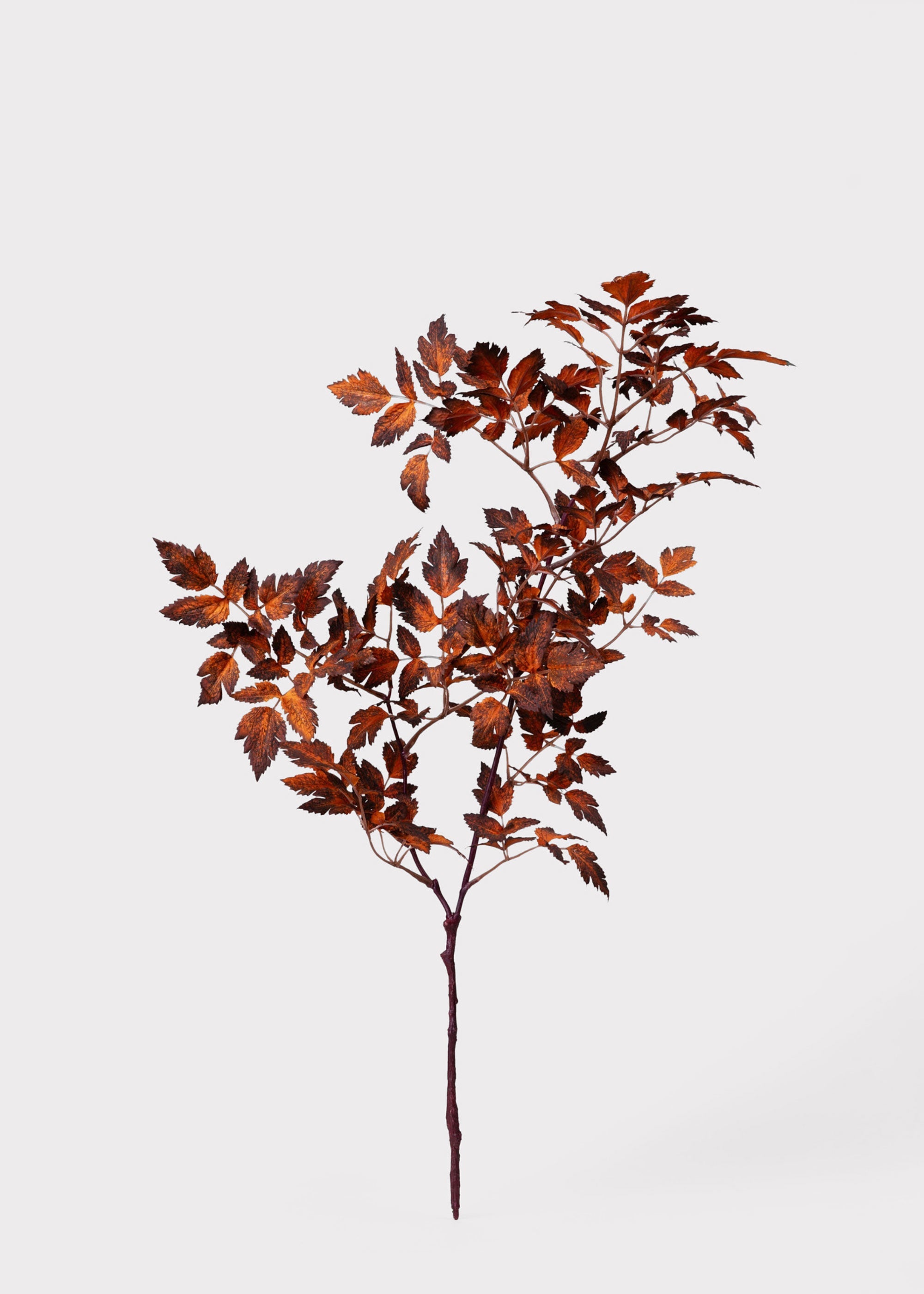 Afloral™ Faux Cimicifuga Leaf Spray in Brown - 31"
