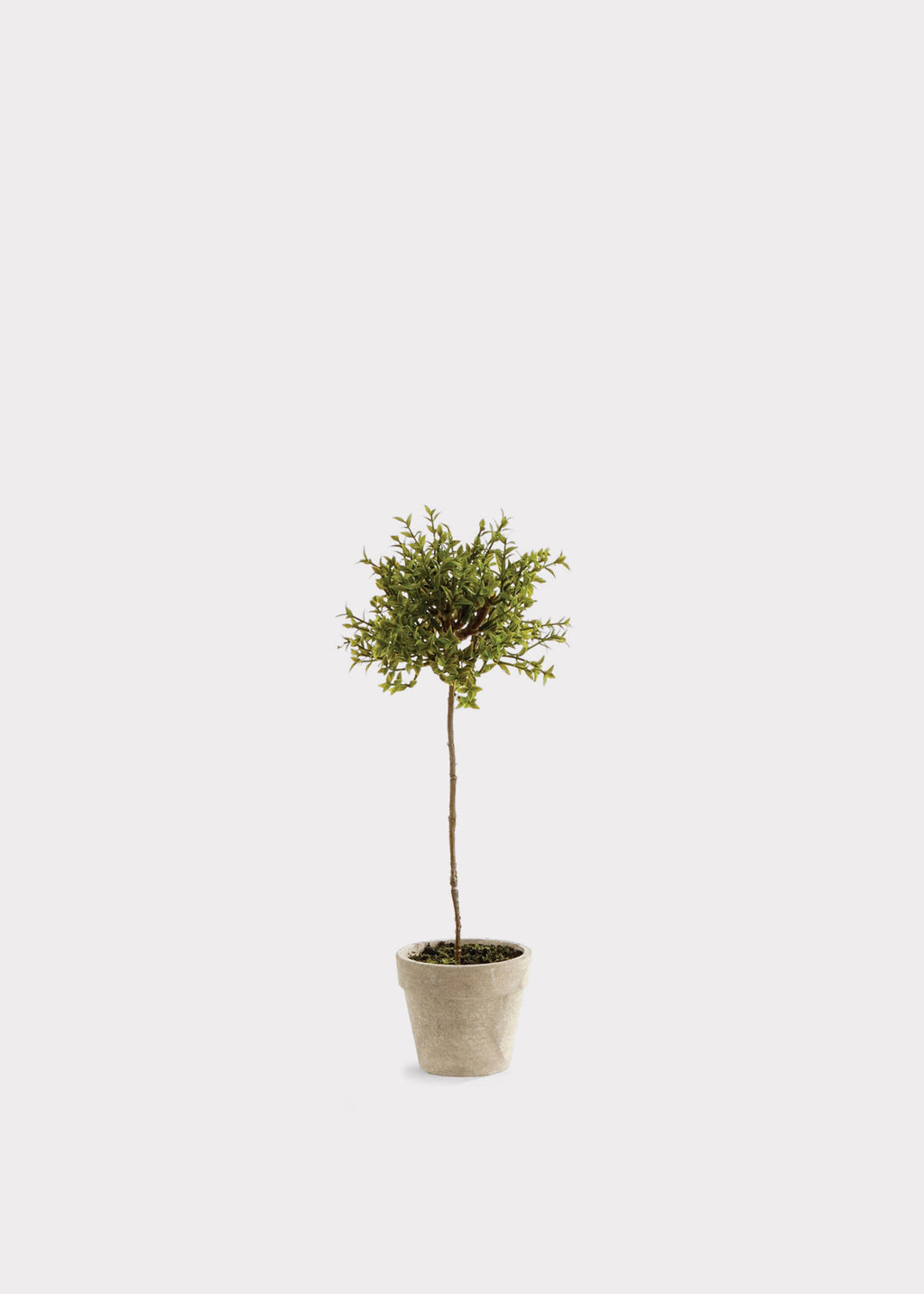 Artificial Thyme Herb Topiary Potted Plant - 13"