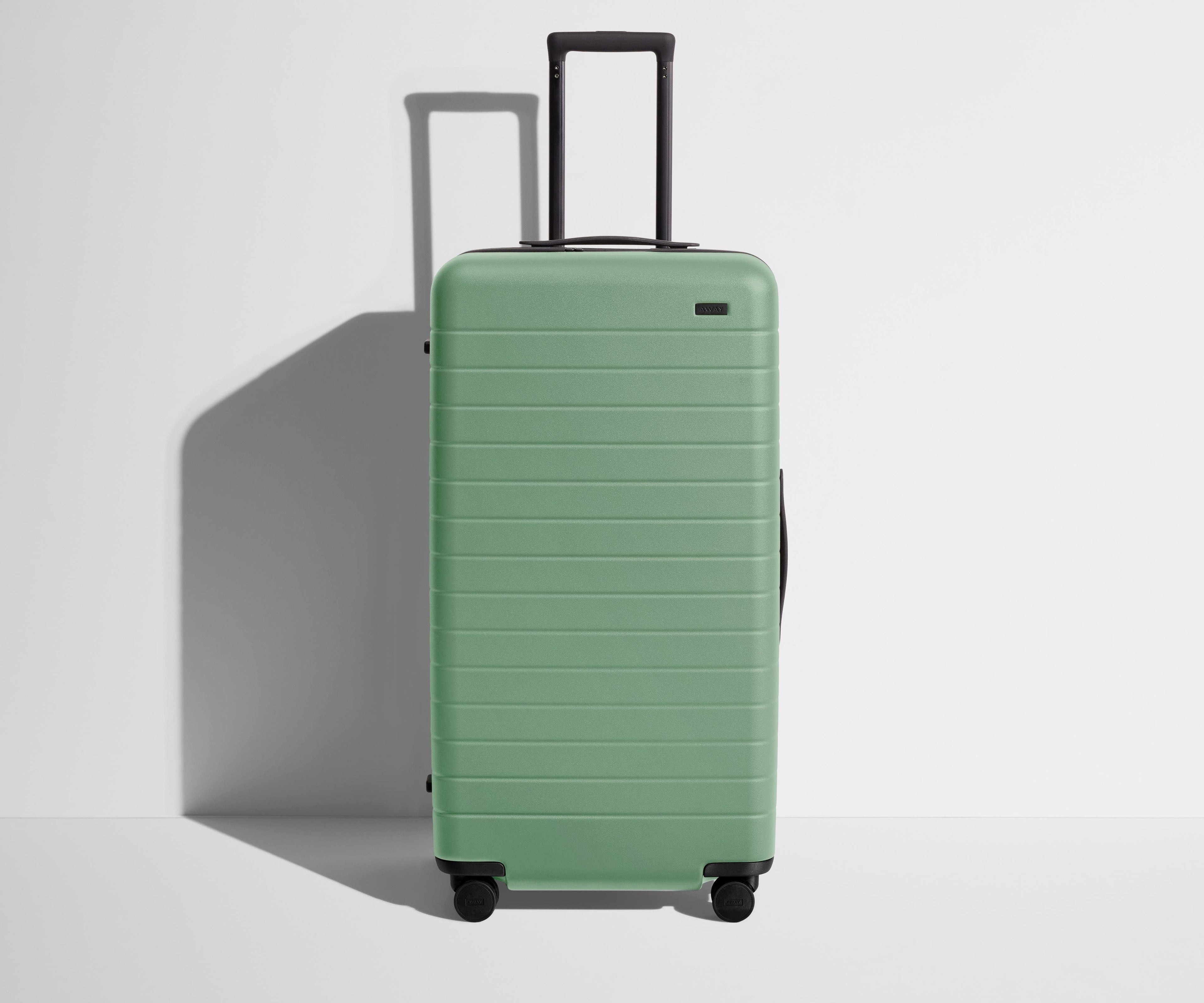 The Trunk in Sea Green