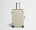 The Medium in Salt White