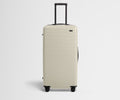 The Trunk in Salt White