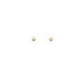 Circle Stud Earrings