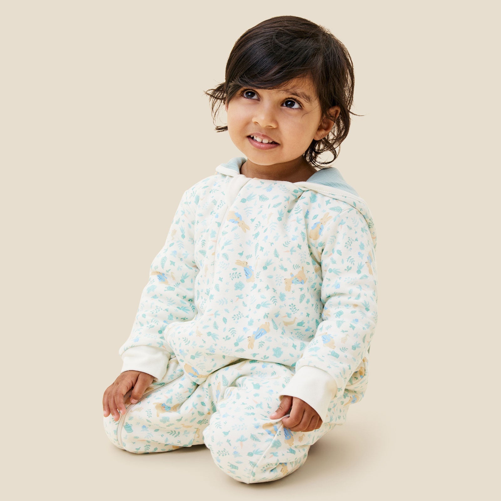 Peter Rabbit Pramsuit
