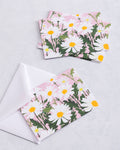 Pink Daisy - Boxed Note Cards Set of 10 - Smudge Ink