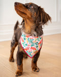 PF x The Foggy Dog Flock of Flamingos - Dog Bandana - Rose