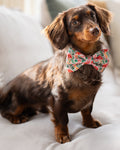 PF x The Foggy Dog Flock of Flamingos - Dog Bow Tie - Rose