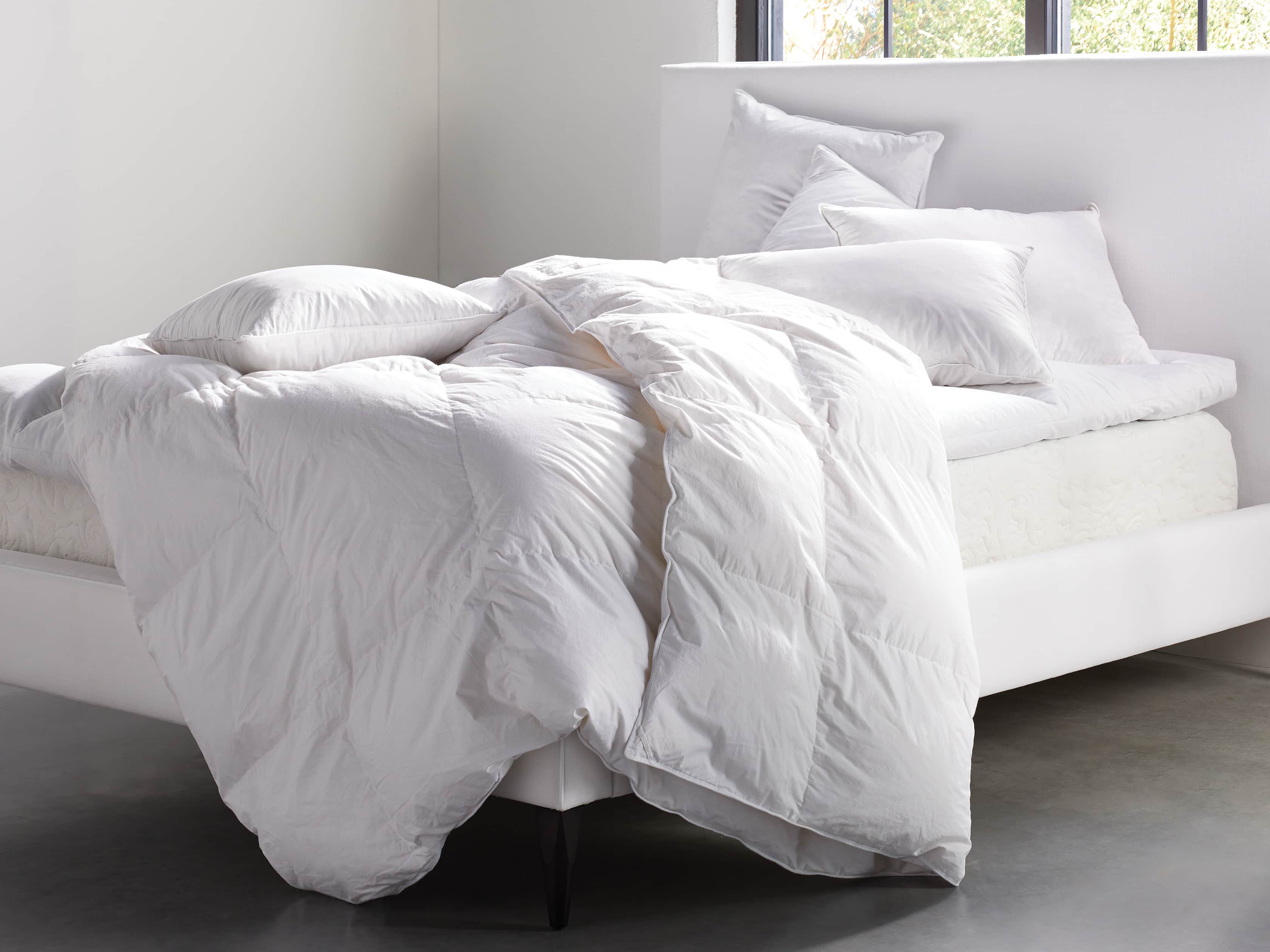 Chamber Pillow Insert